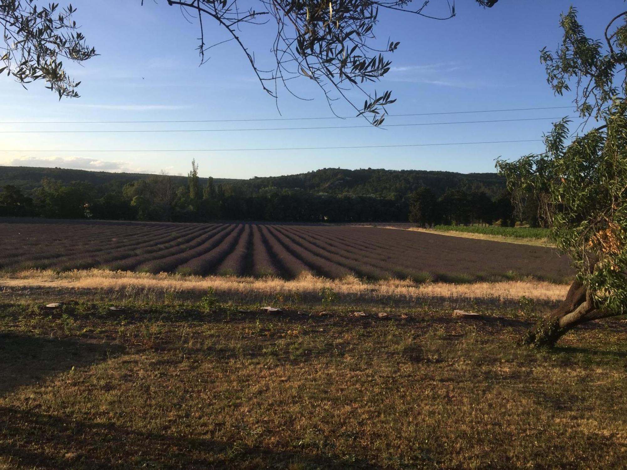 Gite Le Gre Chantemerle-lès-Grignan Exteriér fotografie