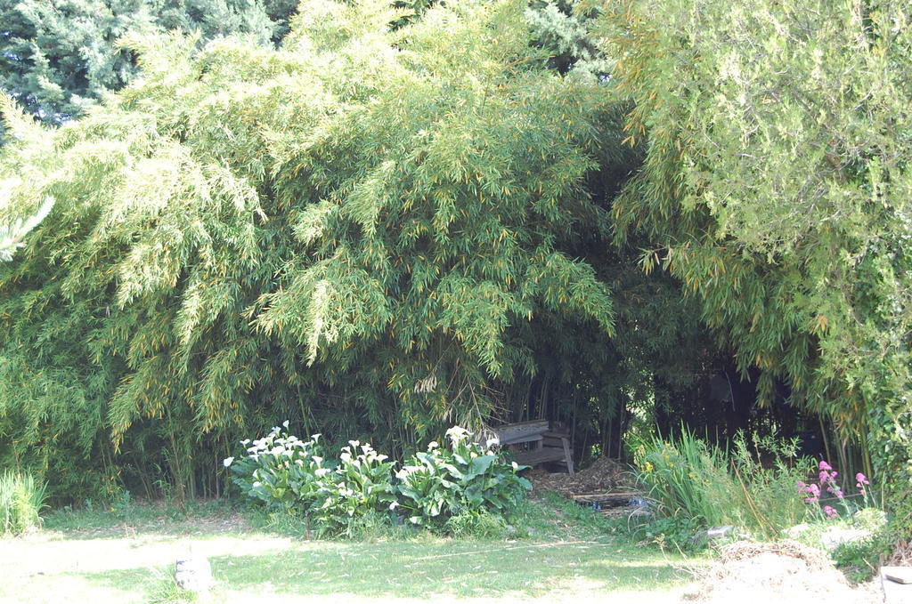 Gite Le Gre Chantemerle-lès-Grignan Exteriér fotografie