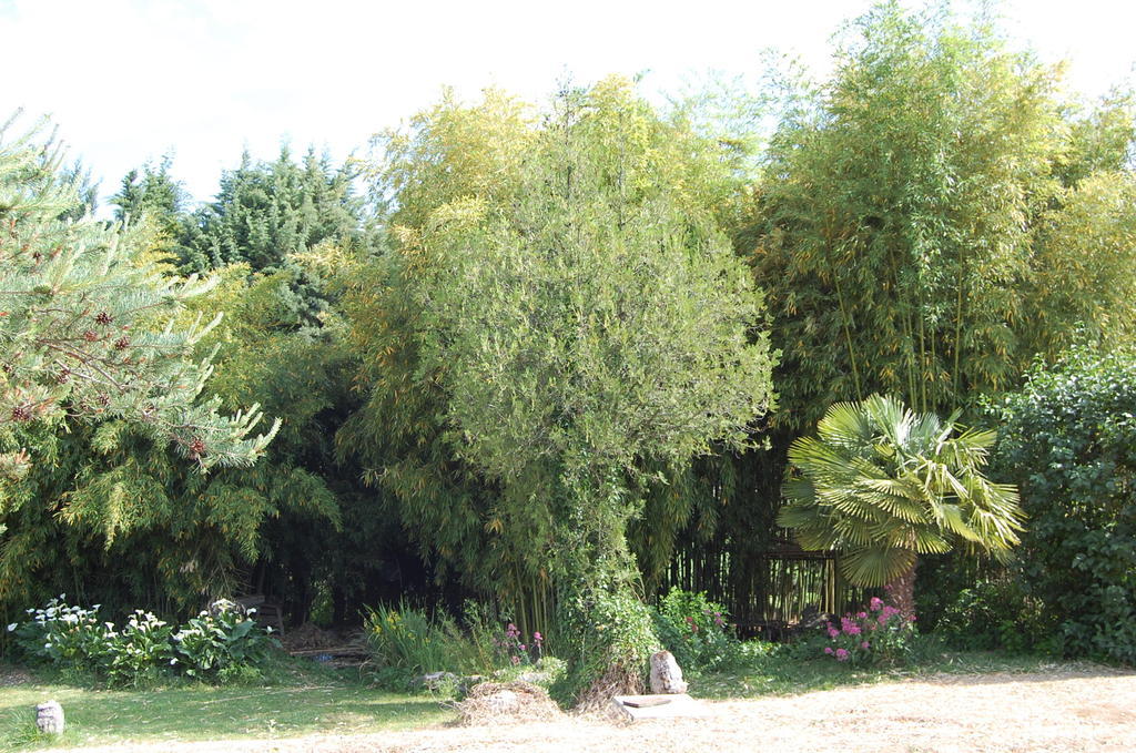 Gite Le Gre Chantemerle-lès-Grignan Exteriér fotografie