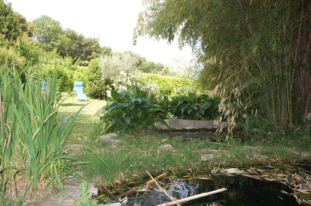 Gite Le Gre Chantemerle-lès-Grignan Exteriér fotografie